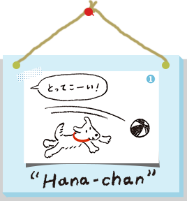 はなちゃん