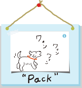 Pack