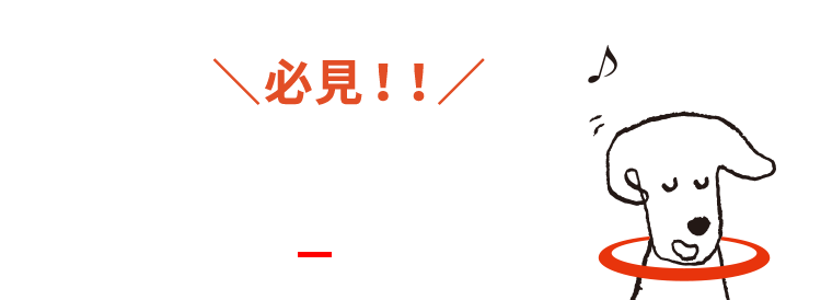 キャンペーン一覧